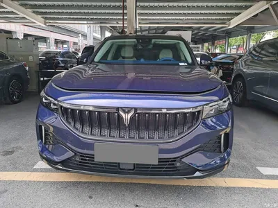2021 Voyah Auto VOYAH FREE AWD Standard Pure Electric Exclusive Luxury Package, фото 2, лот 10311108