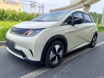 2023 BYD Dolphin 420km Fashion Edition, фото 2, лот 10264049