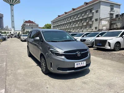 2021 Buick GL8 Land Business Class 652T Comfort, фото 3, лот 10254799