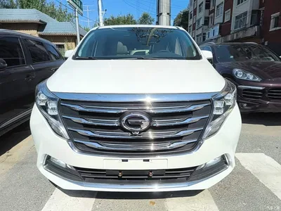 2018 GAC Trumpchi Trumpchi M8 320T Premium Edition, фото 3, лот 11012333