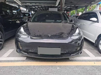 2020 Tesla Model 3 Standard Range Rear-Wheel Drive Upgrade, фото 2, лот 10366602
