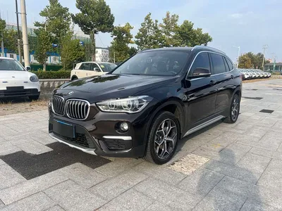 2019 BMW X1 xDrive20Li Premium Model, фото 1, лот 11192757