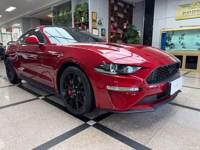 2021 Ford Mustang 2.3T EcoBoost Obsidian Phantom Special Edition, фото 3, лот 10298157