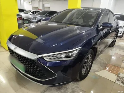 2023 BYD Qin PLUS Champion Edition DM-i 55KM Leading, фото 2, лот 10362765