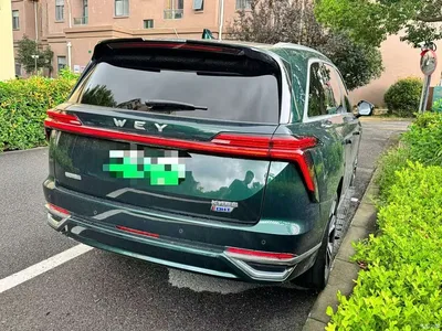2023 WEY Lanshan AWD Ultra Long Range Edition, фото 4, лот 10611534