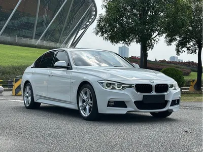 2018 BMW 3 Series 320Li Leading M Sport Package, фото 3, лот 11211329