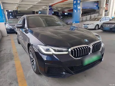 2022 BMW 5 Series New Energy Facelift 535Le M Sport Package, фото 4, лот 10474259