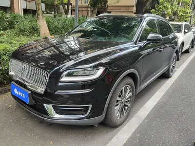 2019 Lincoln Nautilus (Import) 2.0T 2WD Premium Edition China VI, фото 1, лот 11203524