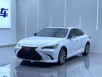 2021 Lexus ES 200 Excellence Edition, фото 1, лот 10313669