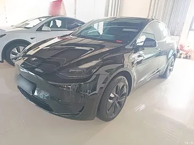 2023 Tesla Model Y Rear-Wheel Drive Edition, фото 1, лот 10812335