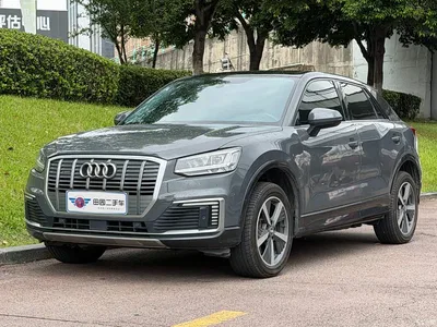 2019 Audi Q2L e-tron Pure Electric Smart Enjoyment, фото 1, лот 10579976