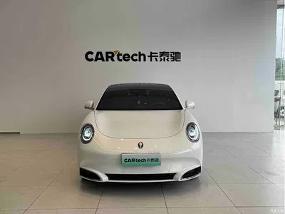 2022 Ora Lightning Cat 555km Premium Edition, фото 2, лот 10330827