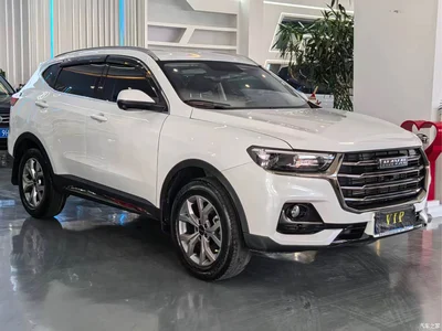 2023 Haval H6 National Trend Edition 1.5T Automatic Champion, фото 2, лот 10283813