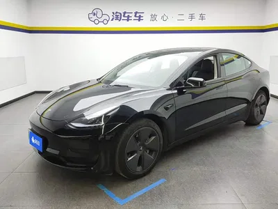 2022 Tesla Model 3 Model Rear-Wheel Drive Version, фото 1, лот 10999297