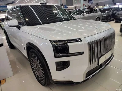 2025 ZEEKR 9X Model Standard, фото 4, лот 10428809
