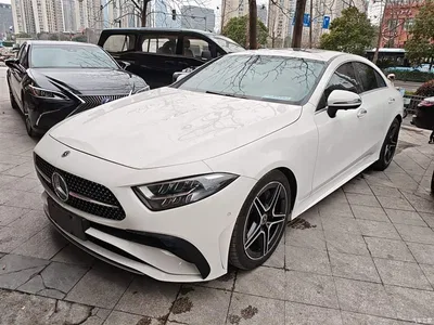 2023 Mercedes-Benz CLS Model CLS 300 Luxury Version, фото 2, лот 10300679