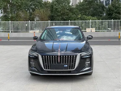 2024 Hongqi H5 1.5T DCT Smart Connect Flag Rhythm Edition, фото 2, лот 11181766