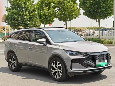 2025 BYD Tang New Energy DM-i 115KM Premium, фото 3, лот 10273641