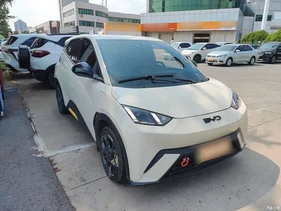 2024 BYD Seagull Glory Edition 305km Freedom Edition, фото 4, лот 10259732