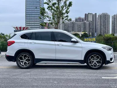 2019 BMW X1 sDrive18Li Premium Model, фото 4, лот 10466805