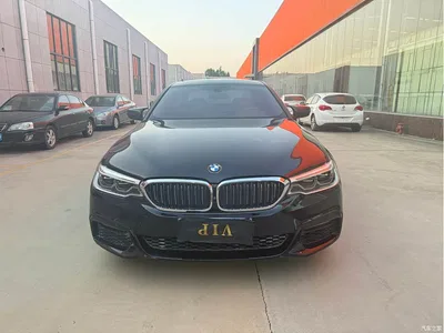 2019 BMW 5 Series 530Li Leading M Sport Package, фото 2, лот 11549226