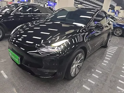 2021 Tesla Model Y Standard Range Rear-Wheel Drive, фото 1, лот 11178914