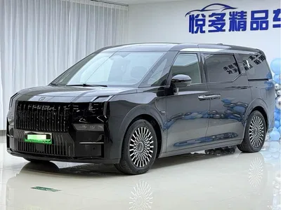 2022 ZEEKR 009 WE Edition, фото 1, лот 10291213