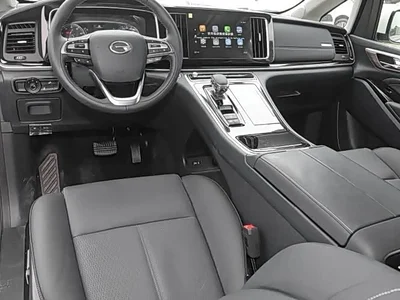 2021 GAC Trumpchi Trumpchi M8 Leading Show Series 390T Luxury Edition, фото 4, лот 11568052