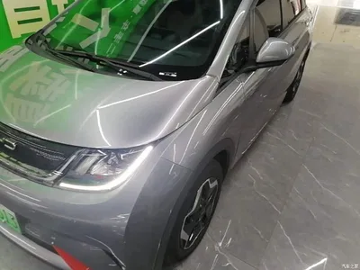 2021 BYD Dolphin Model 405km Fashion Edition, фото 1, лот 10390504