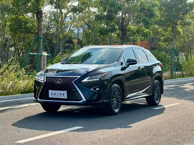2016 Lexus RX 300 2WD Elite Edition (China V), фото 1, лот 11195859