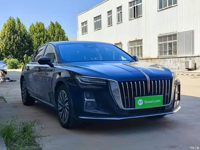 2024 Hongqi H5 2.0T Automatic Smart Connect Flag Smooth Edition, фото 4, лот 10289266