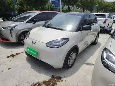 2024 Wuling Motors Wuling Bingo 333km Smart Connect Edition, фото 1, лот 10371130