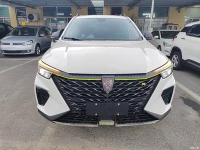 2021 Roewe RX5 New Energy Model ePLUS National Trend Ronglin Luxury Edition, фото 3, лот 10341172