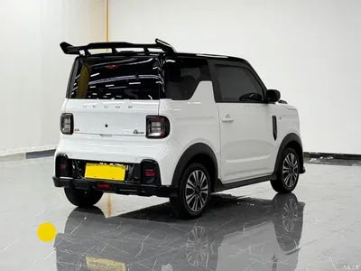 2025 Geely Galaxy Panda Model Year 210km Panda Kart, фото 4, лот 11243484
