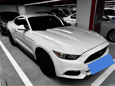 2015 Ford Mustang 2.3T Performance Edition, фото 3, лот 10400185