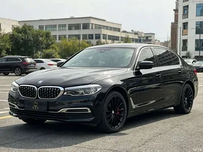 2020 BMW 5 Series 530Li Premium Luxury Package, фото 1, лот 10706445