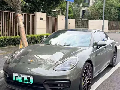 2023 Porsche Panamera New Energy Panamera 4 E-Hybrid Platinum Edition 2.9T, фото 2, лот 10393925