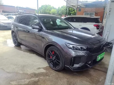 2025 Voyah Auto VOYAH FREE 318 318km RWD Touring Edition, фото 4, лот 10311577