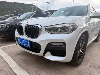 2018 BMW X3 xDrive25i M Sport Package China V, фото 1, лот 10460864