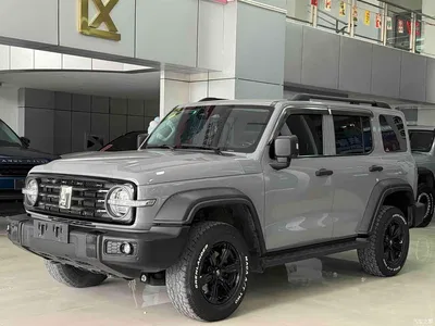 2021 Tank 300 Off-road Edition 2.0T Challenger, фото 1, лот 10345310