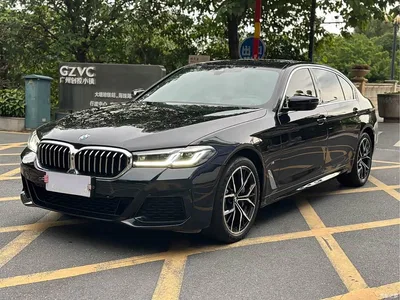 2023 BMW 5 Series Facelift 530Li Premium M Sport Package, фото 1, лот 11242489