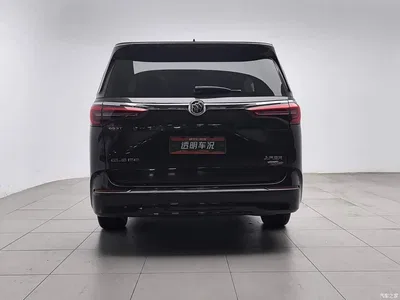 2020 Buick GL8 ES Landglory 653T Flagship, фото 4, лот 11188228