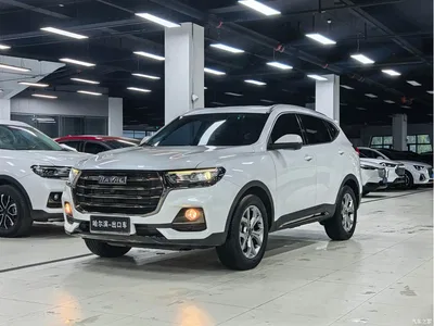 2021 Haval H6 Model National Trend Edition 1.5T Auto Champion, фото 1, лот 10299331