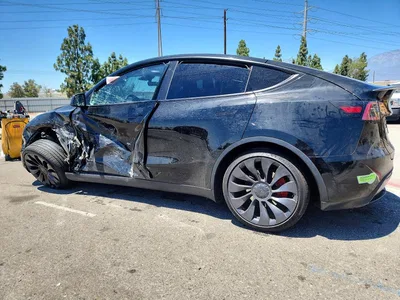2023 TESLA MODEL Y, фото 2, лот 10852638