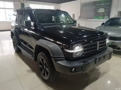 2021 Tank 300 Off-road Version 2.0T Conqueror, фото 4, лот 10345425