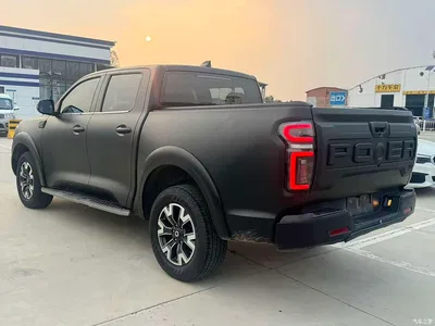 2019 Great Wall Pao 2.0T Automatic Gasoline 4WD Comfort GW4C20B, фото 4, лот 10246005