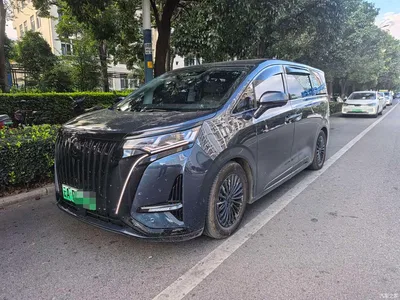 2024 Denza D9 EV 600 AWD Flagship, фото 1, лот 10817685