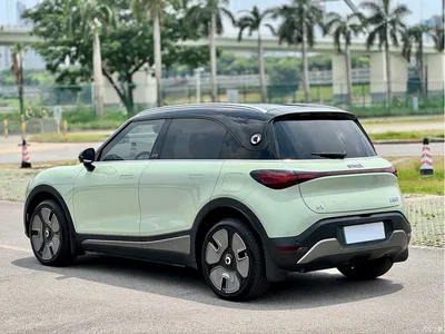 2022 smart Elf #1 Premium Edition, фото 4, лот 10343628
