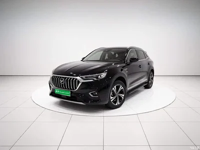2019 Hongqi HS5 2.0T Smart Connect Enjoy Edition, фото 1, лот 10386433