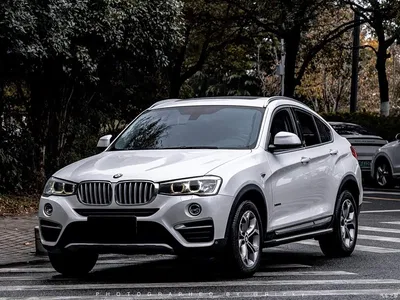 2014 BMW X4 xDrive20i X Design Package, фото 1, лот 10426960